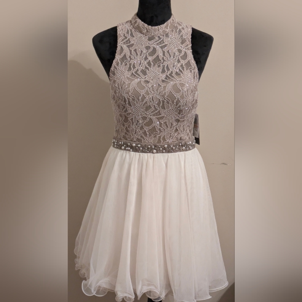 Chic Lace and Tulle Dress